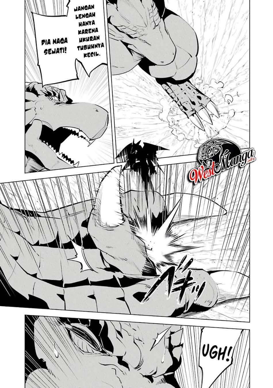 Tensei Kenja no Isekai Raifu ~Daini no Shokugyo wo Ete, Sekai Saikyou ni Narimashita~ Chap 26 - Next Chap 27
