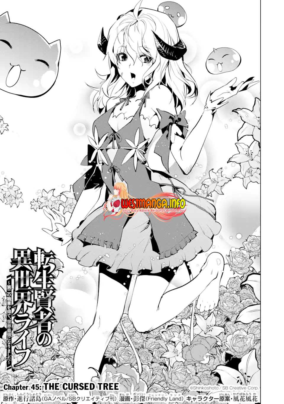Tensei Kenja no Isekai Raifu ~Daini no Shokugyo wo Ete, Sekai Saikyou ni Narimashita~ Chap 45.1 - Next Chap 46.1