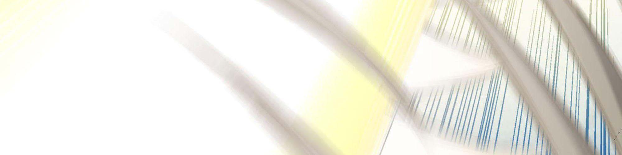 My Wife Is a Demon Queen Chap 238 - Next Chap 239