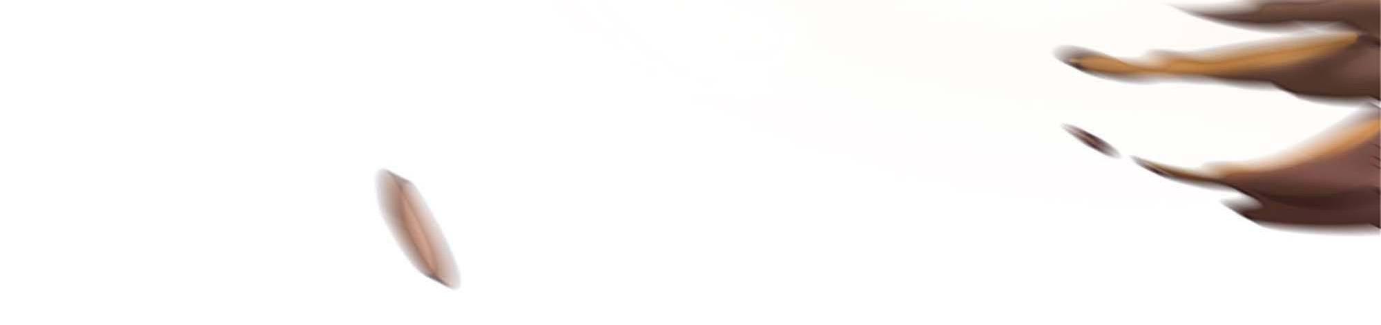 My Wife Is a Demon Queen Chap 239 - Next Chap 240