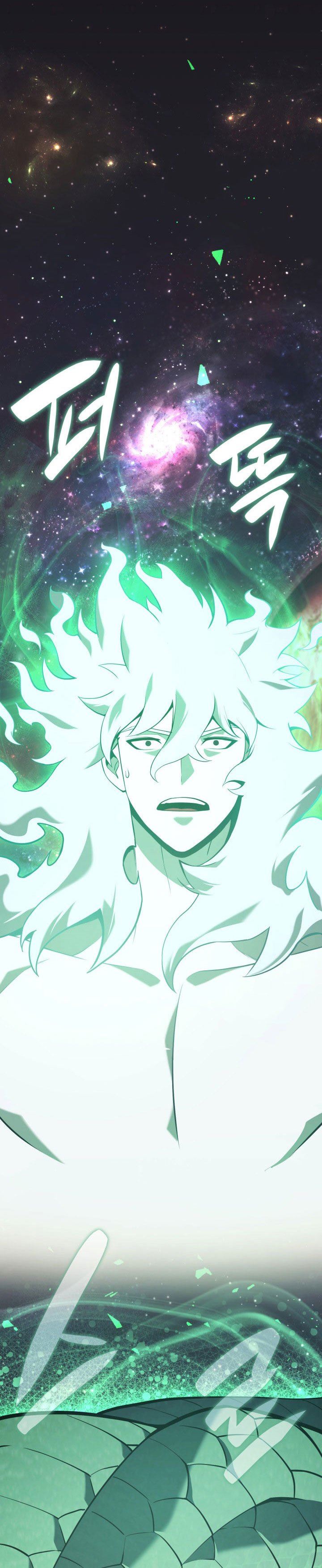 A Disaster-Class Hero Has Returned Chap 2 - Next Chap 3