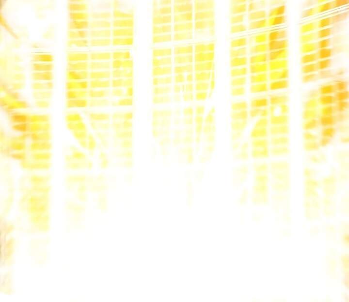 SSS-Class Suicide Hunter Chap 52 - Next Chap 53