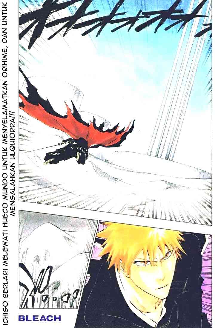 Bleach Chap 317 - Next Chap 318