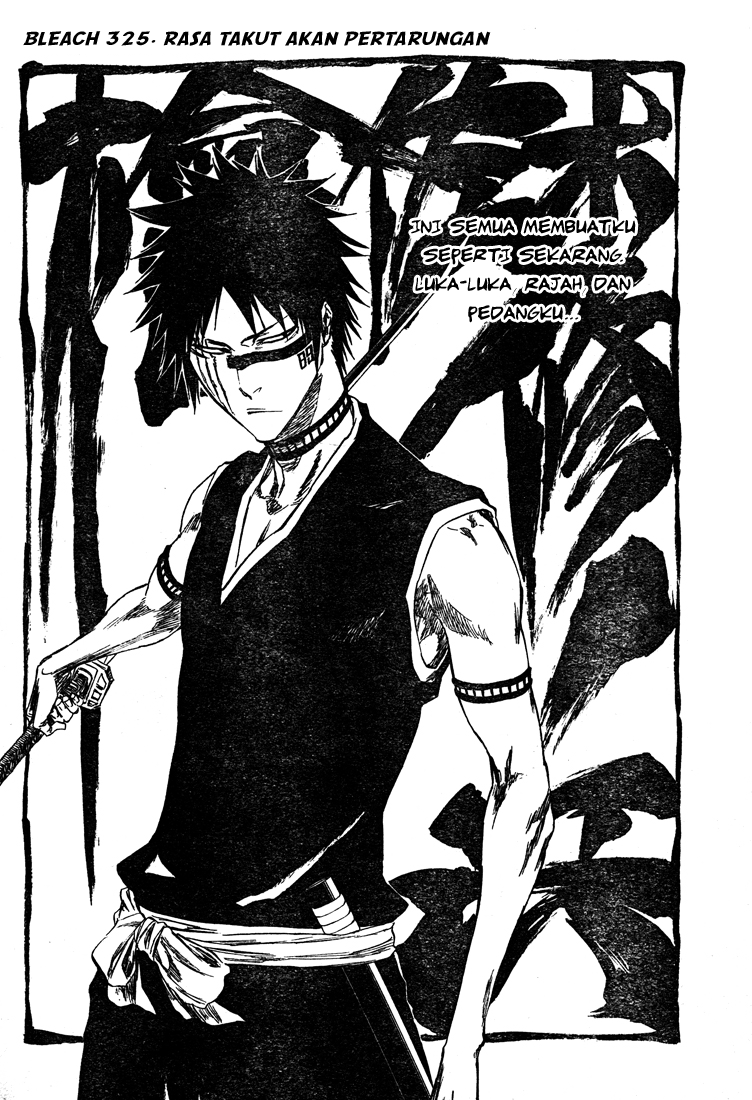 Bleach Chap 325 - Next Chap 326