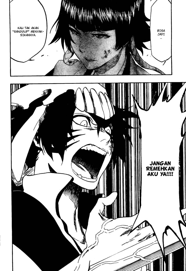 Bleach Chap 333 - Next Chap 334
