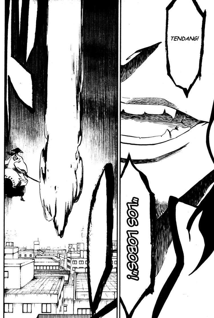 Bleach Chap 361 - Next Chap 362