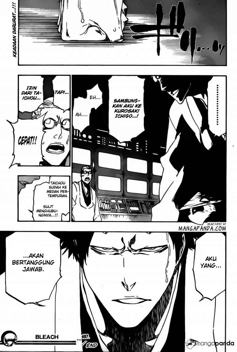 Bleach Chap 497 - Next Chap 498