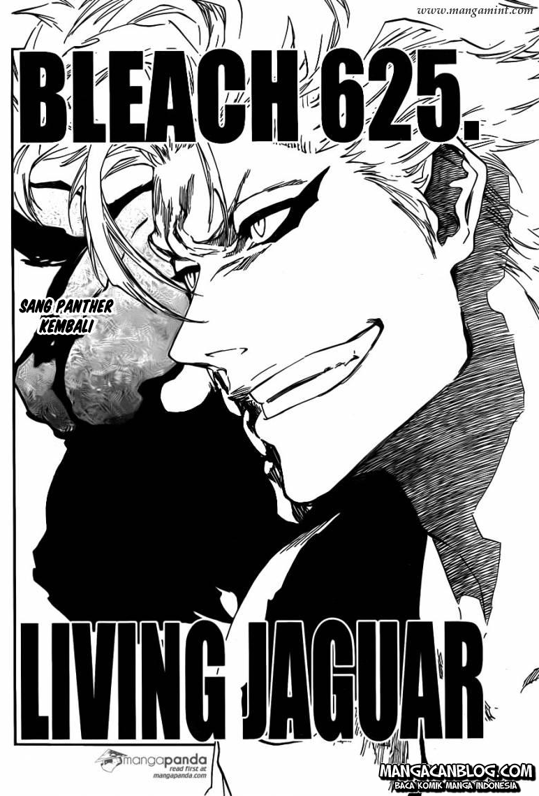 Bleach Chap 625 - Next Chap 626