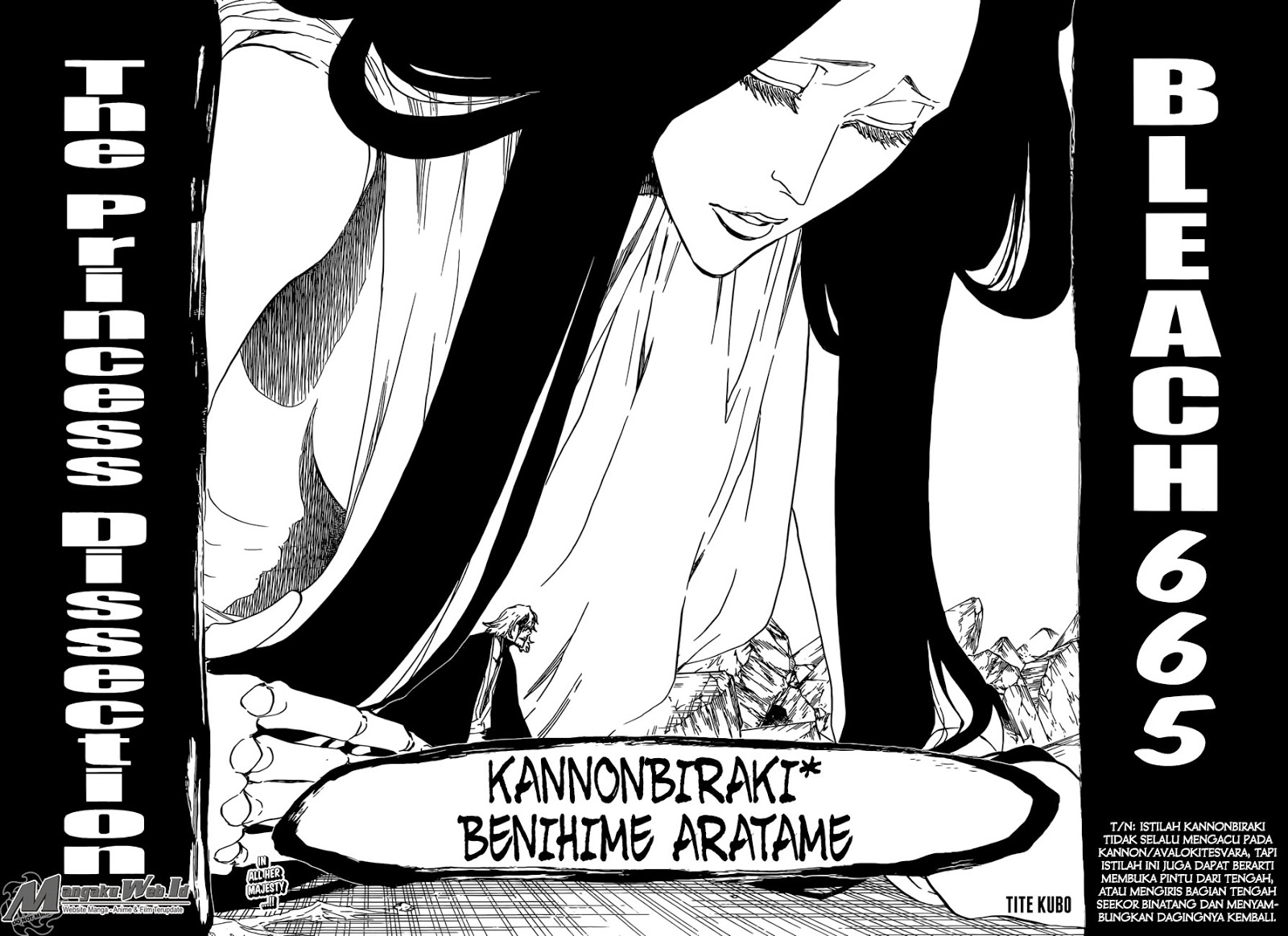 Bleach Chap 665 - Next Chap 666