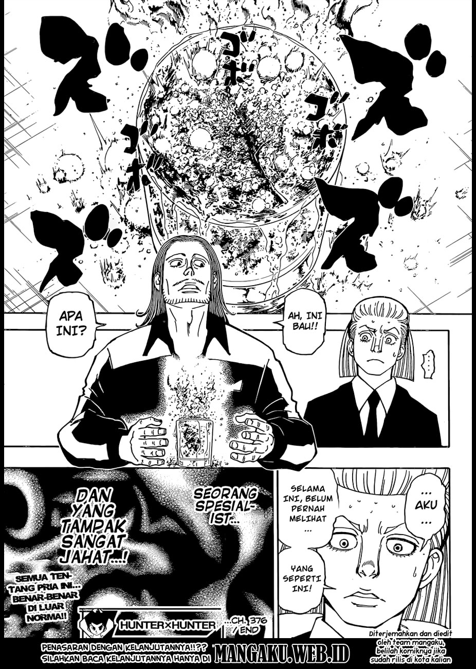 Hunter x Hunter Chap 376 - Next Chap 377