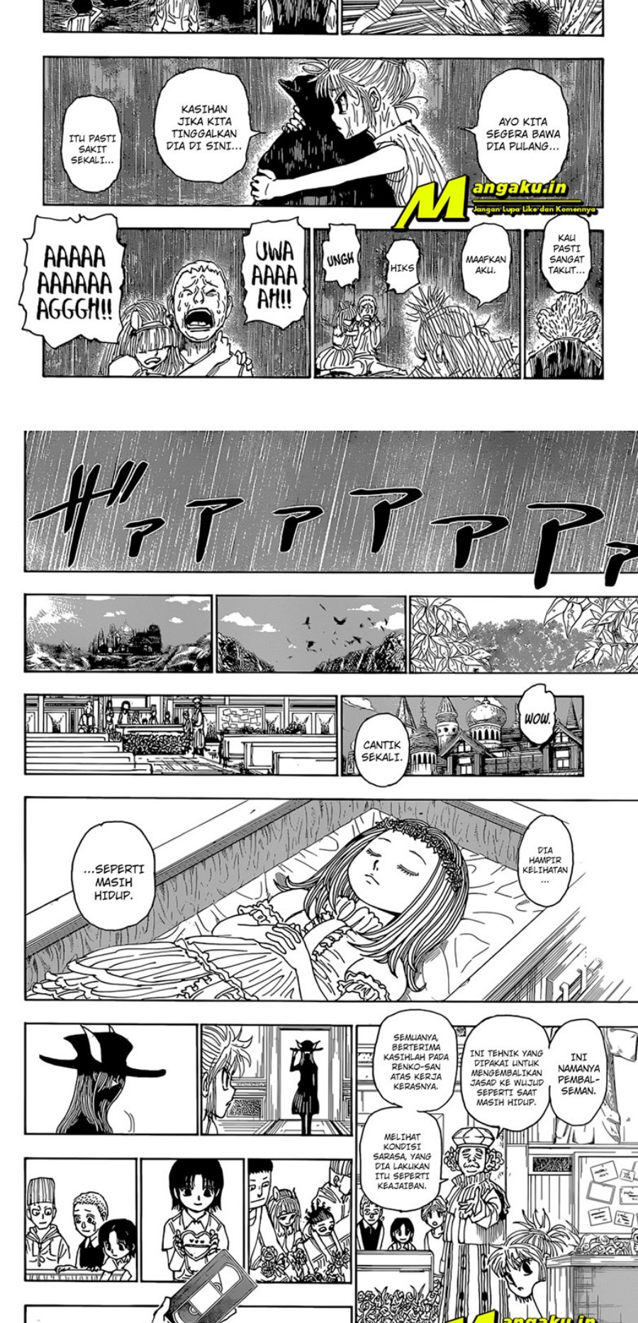 Hunter x Hunter Chap 397 - Next Chap 398