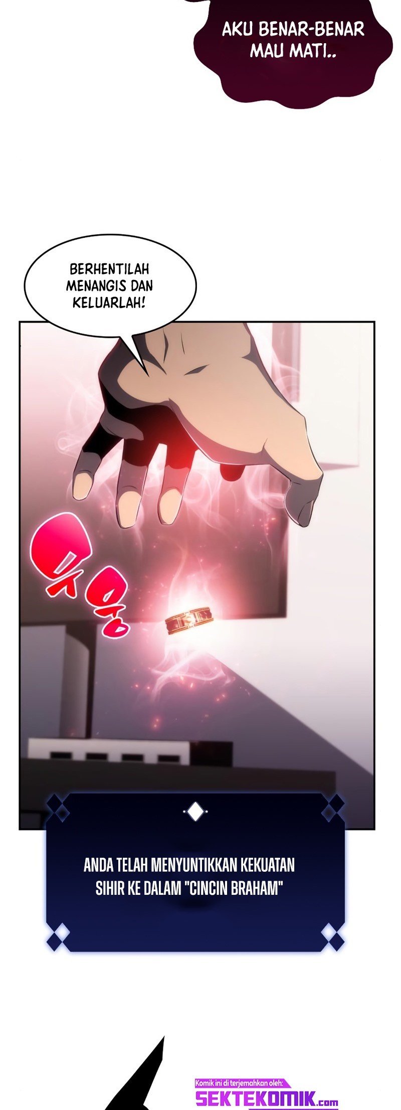 Solo Max-Level Newbie Chap 24 - Next Chap 25