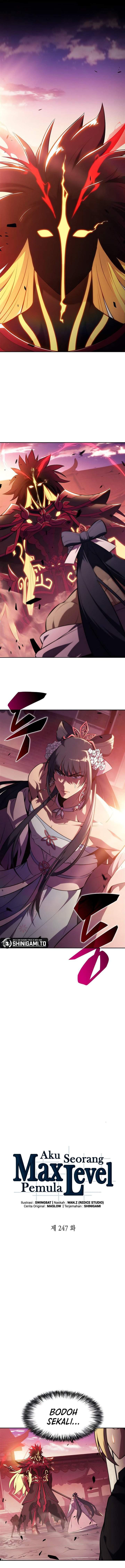 Solo Max-Level Newbie Chap 247 - Next Chap 248