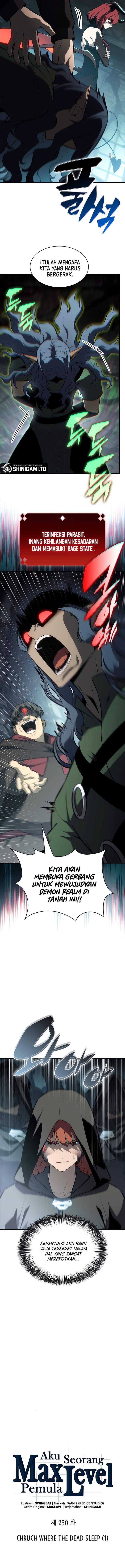 Solo Max-Level Newbie Chap 250 - Next Chap 251