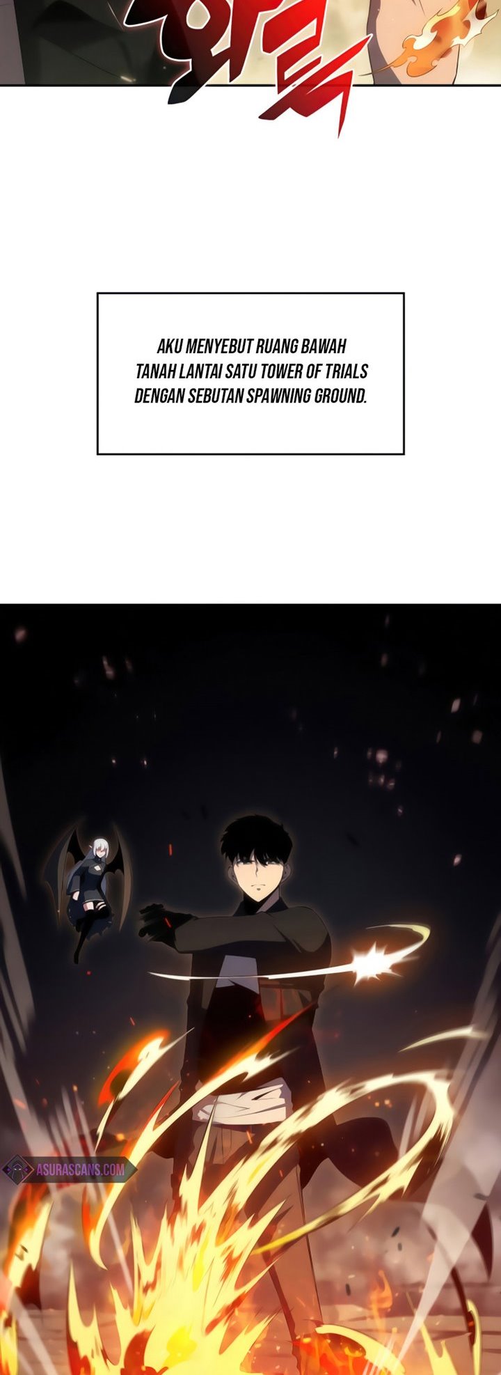 Solo Max-Level Newbie Chap 26 - Next Chap 27