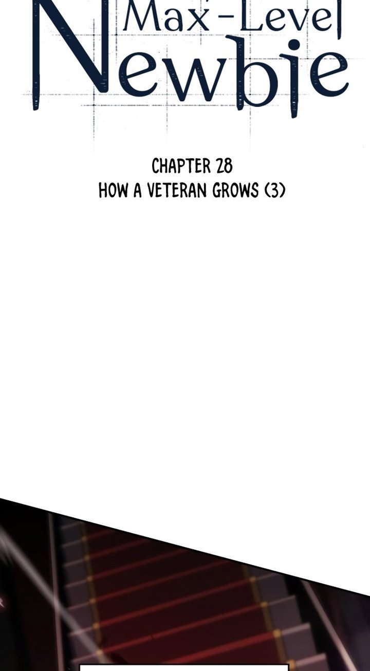 Solo Max-Level Newbie Chap 28 - Next Chap 29