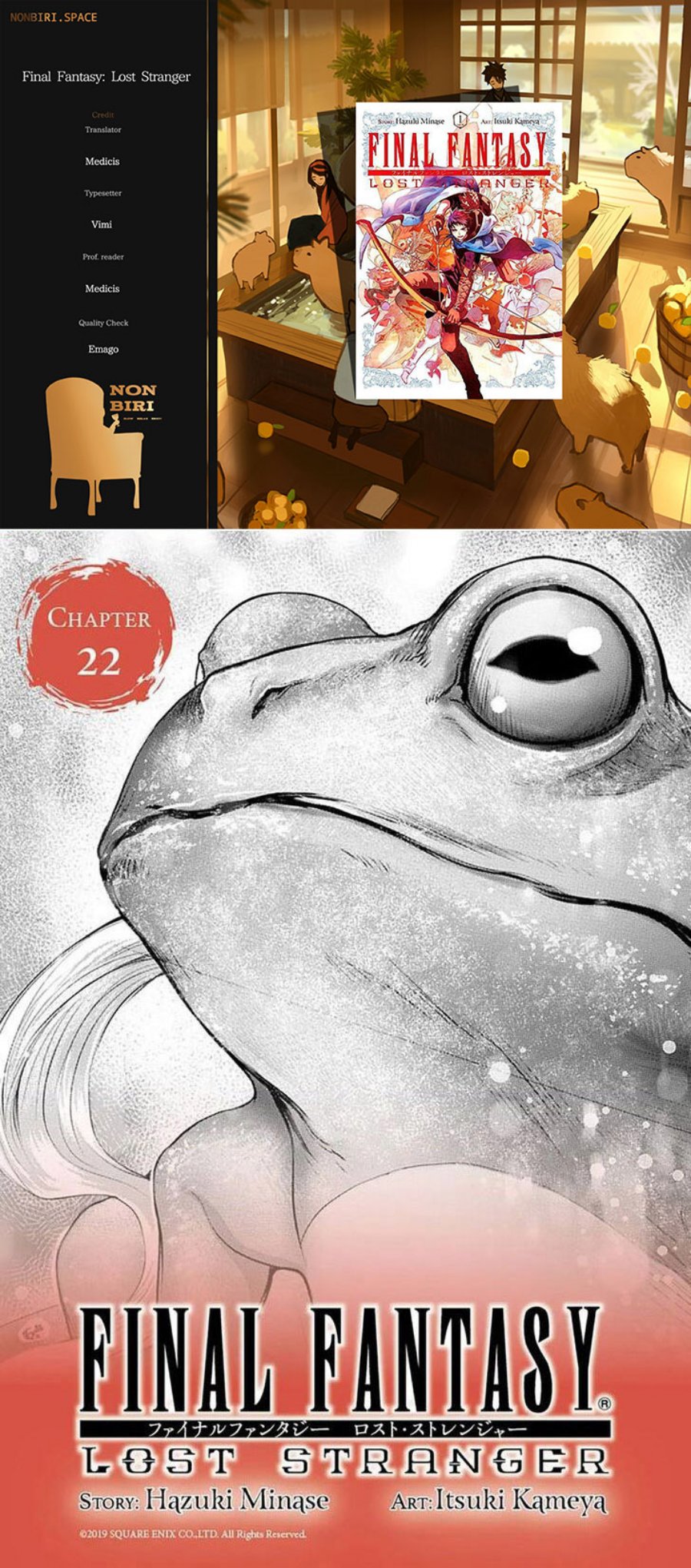 Final Fantasy: Lost Stranger Chap 22 - Next Chap 23