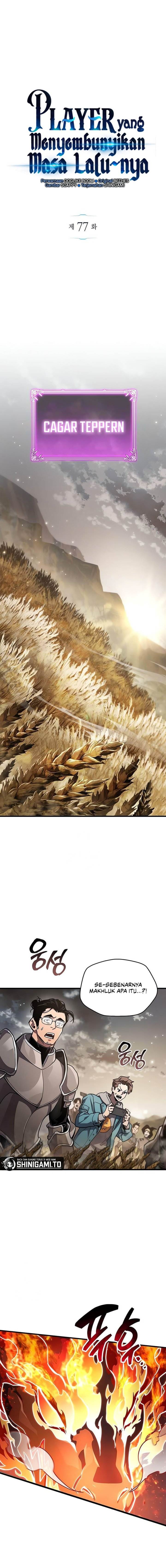 The Player Hides His Past Chap 77 - Next Chap 78