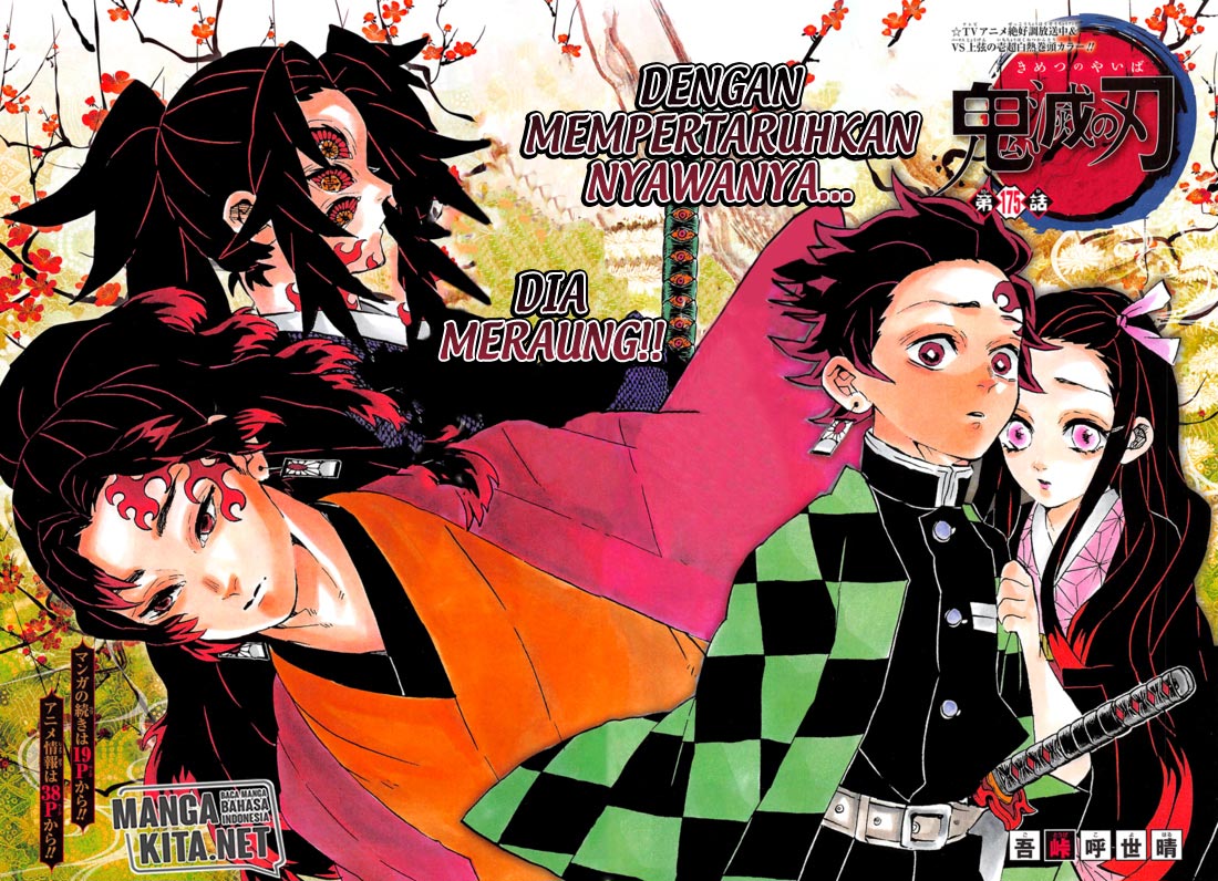 Kimetsu no Yaiba Chap 175 - Next Chap 176