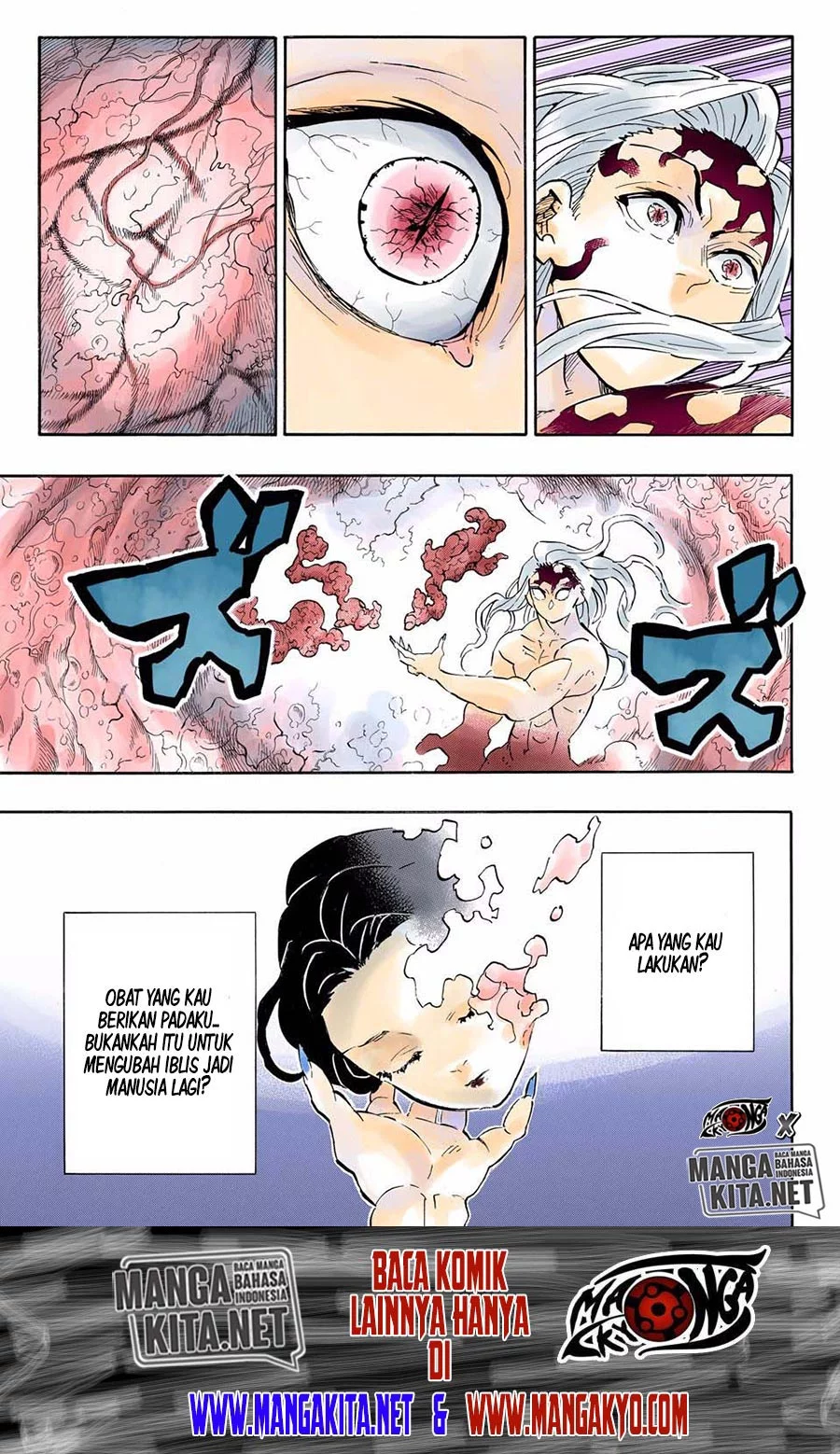 Kimetsu no Yaiba Chap 193.5 - Next Chap 194.5