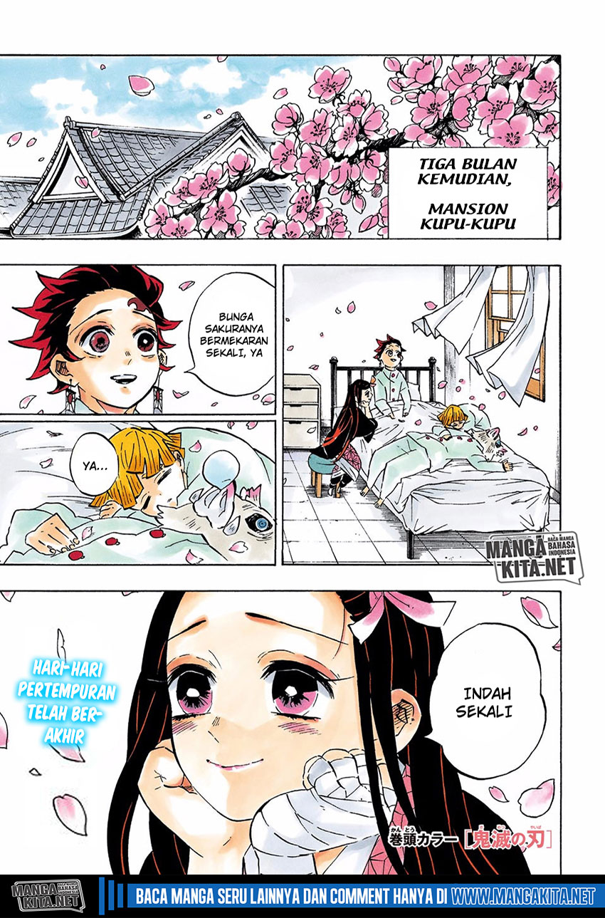 Kimetsu no Yaiba Chap 204.5 - Next Chap 205.5