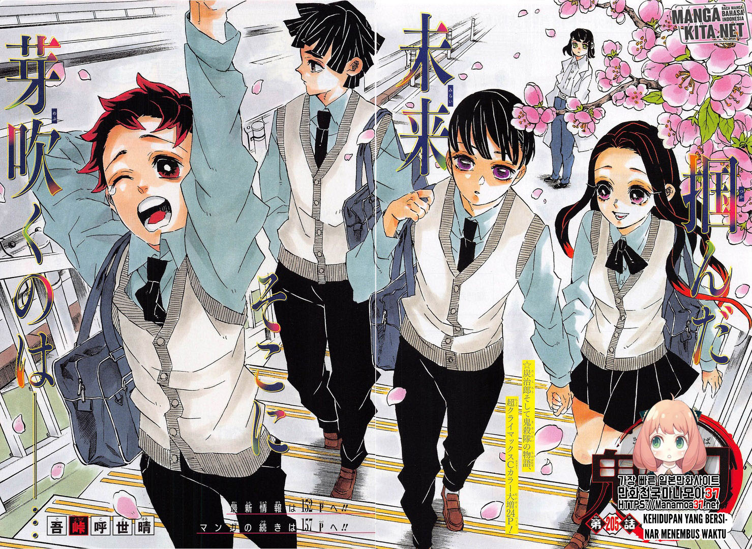 Kimetsu no Yaiba Chap 205 - Next Chap 206