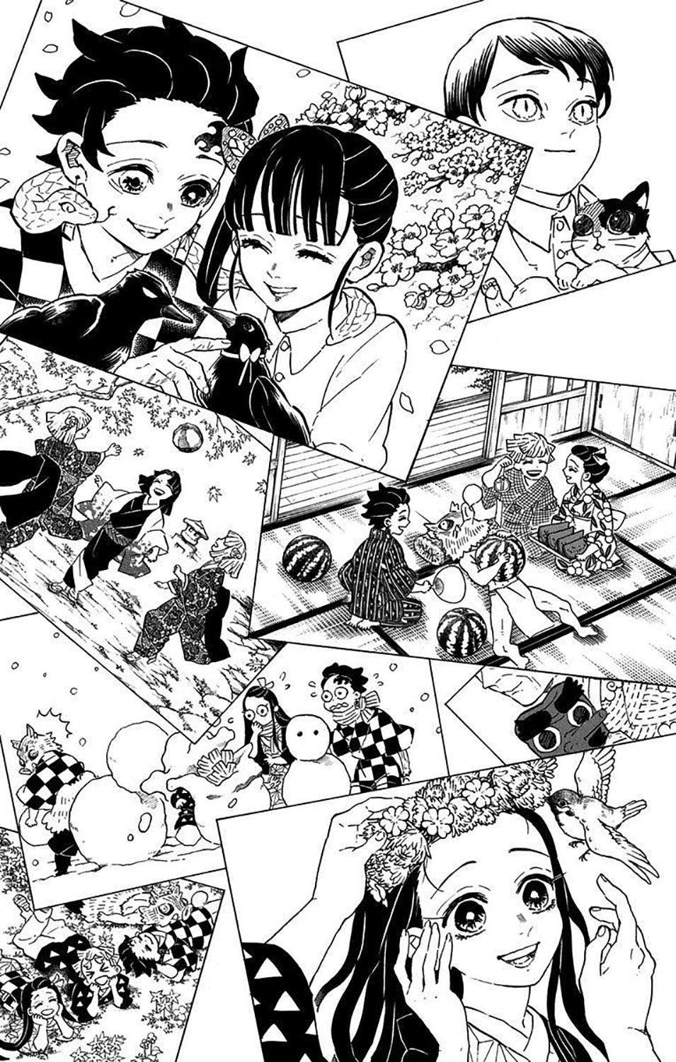 Kimetsu no Yaiba Chap 205.6 - Next Chap 206.6
