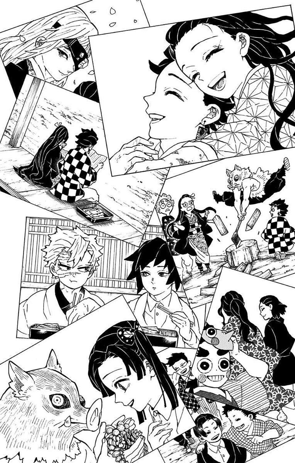 Kimetsu no Yaiba Chap 205.6 - Next Chap 206.6