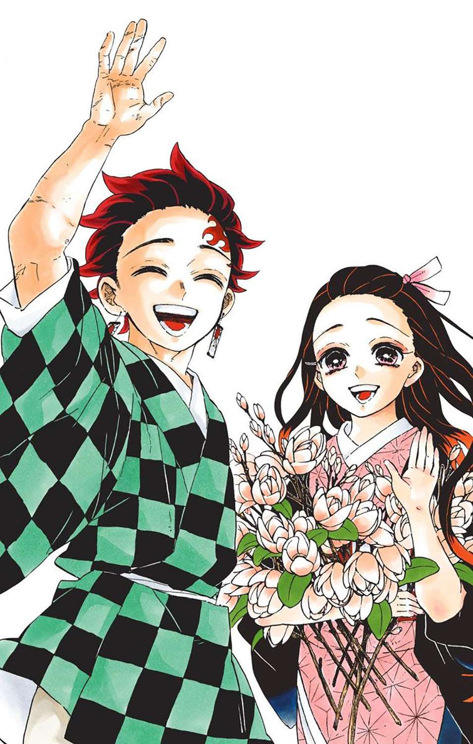 Kimetsu no Yaiba Chap 205.6 - Next Chap 206.6