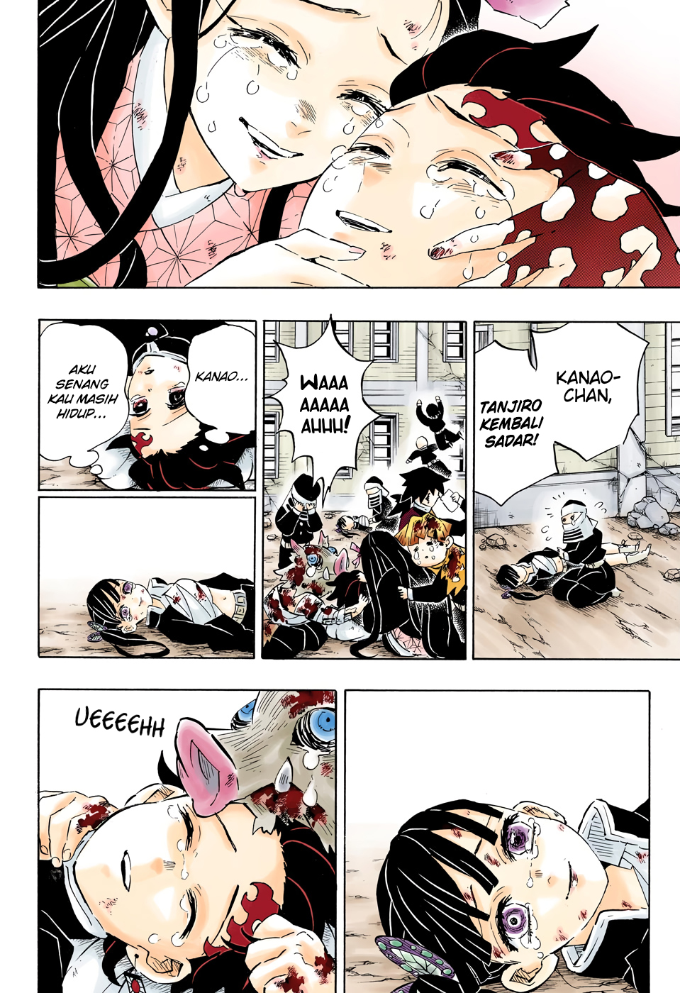 Kimetsu no Yaiba Chap 203.5 - Next Chap 204.5