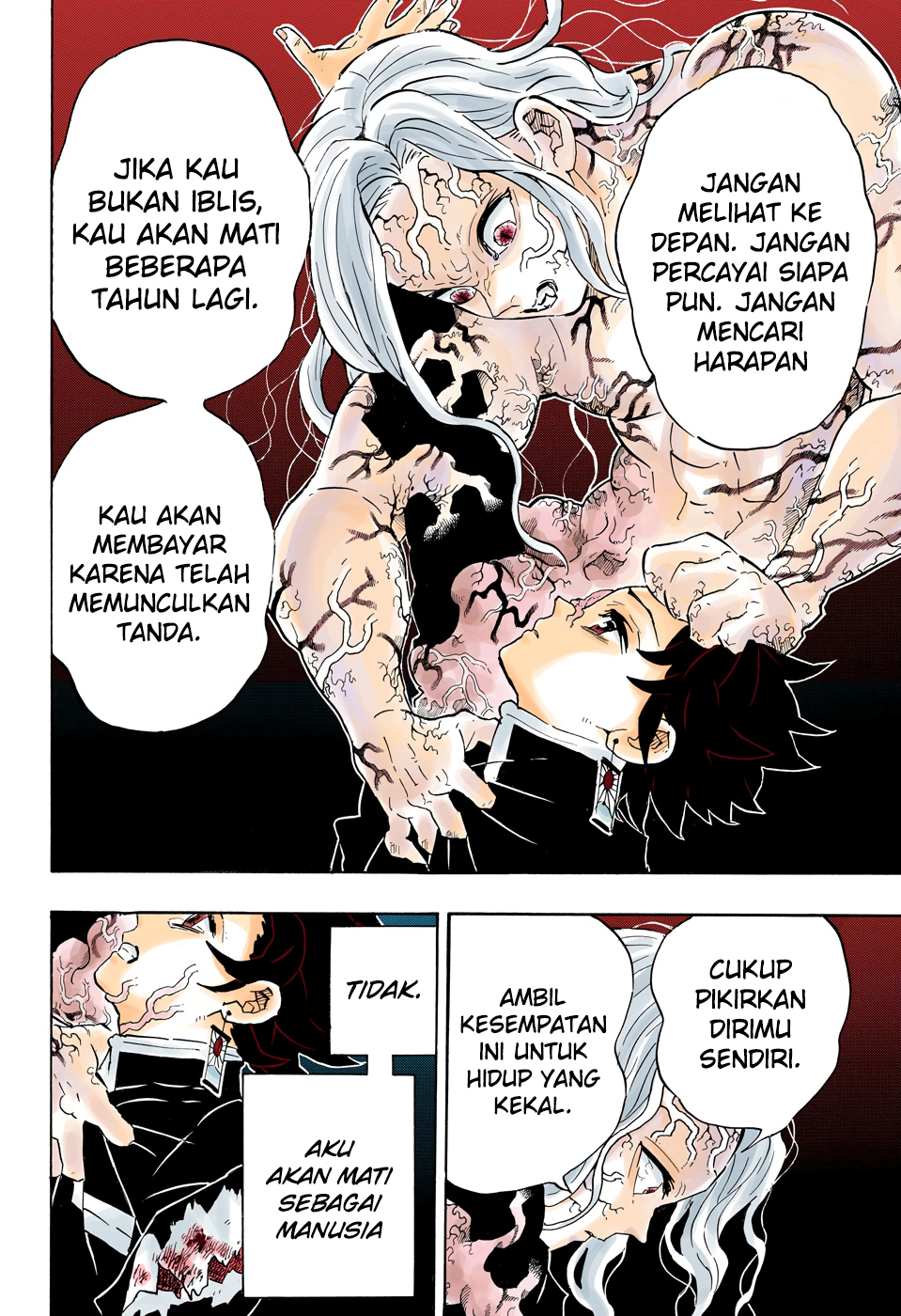 Kimetsu no Yaiba Chap 203.5 - Next Chap 204.5