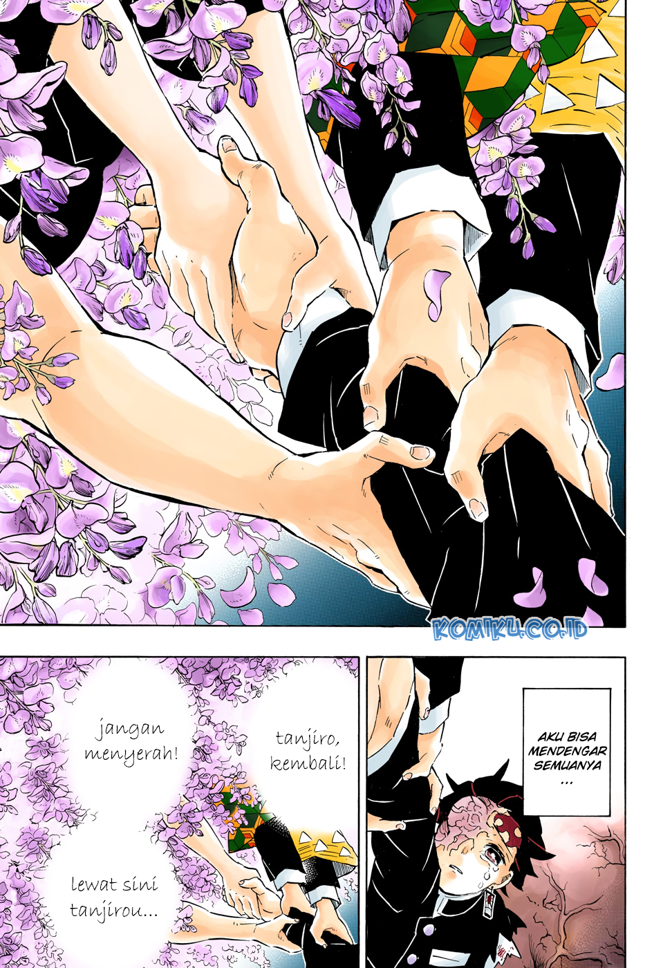 Kimetsu no Yaiba Chap 203.5 - Next Chap 204.5