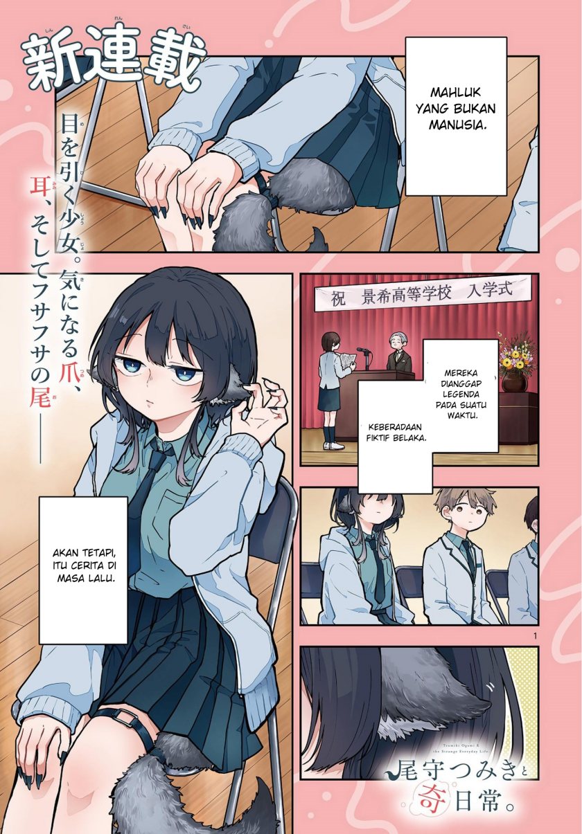 Ogami Tsumiki to Kinichijou. Chap 1 - Next Chap 2