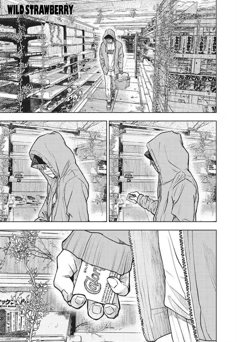 Wild Strawberry Chap 1 - Next Chap 2