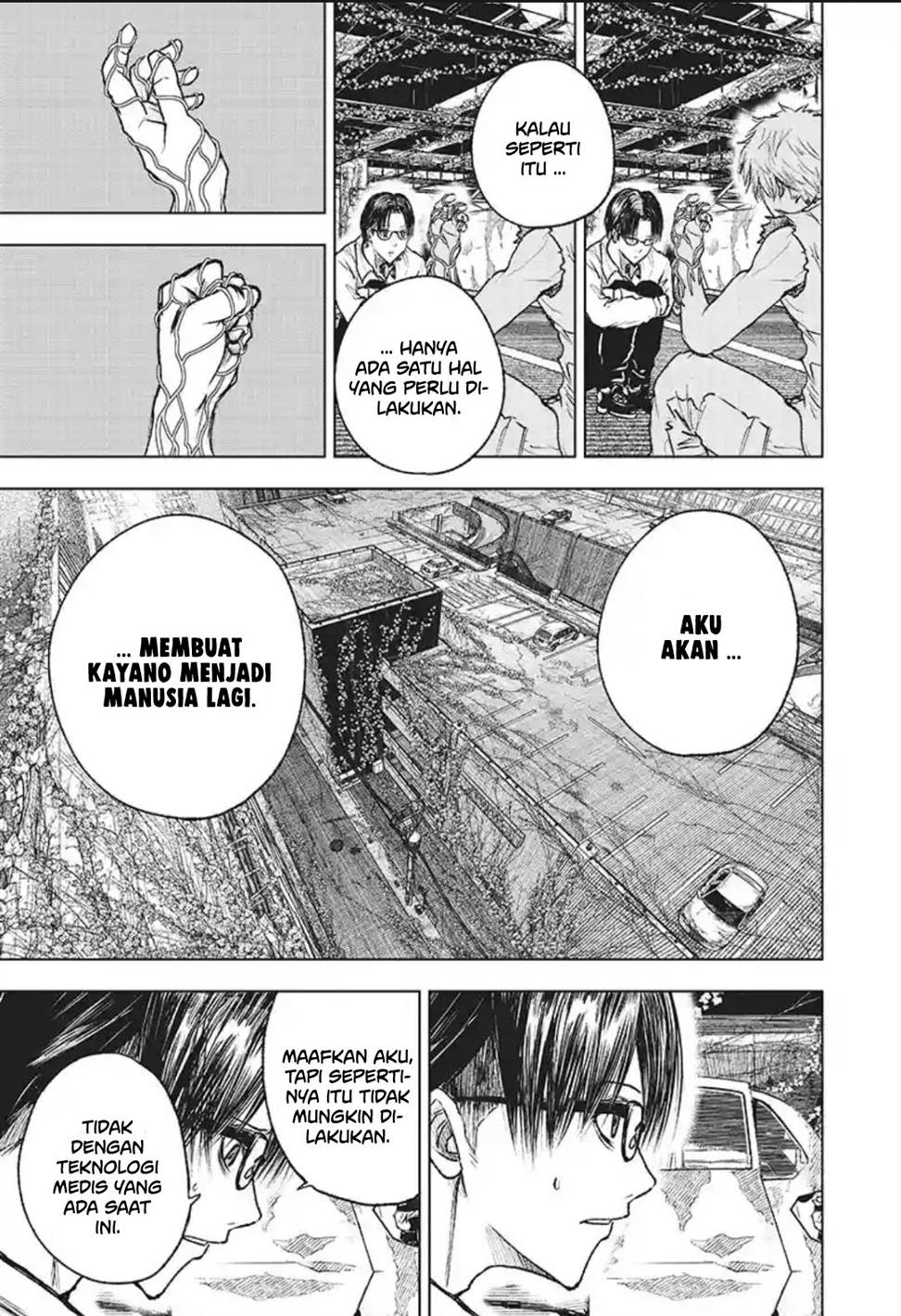 Wild Strawberry Chap 3 - Next Chap 4