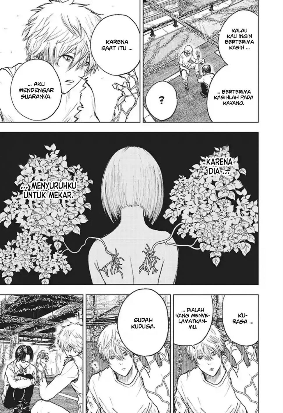 Wild Strawberry Chap 3 - Next Chap 4