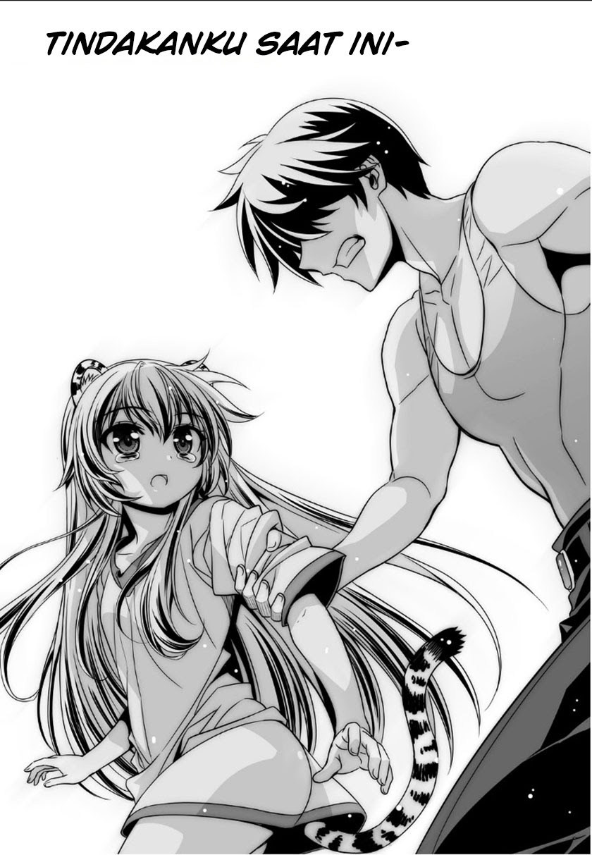 My Love Tiger Chap 2 - Next Chap 3