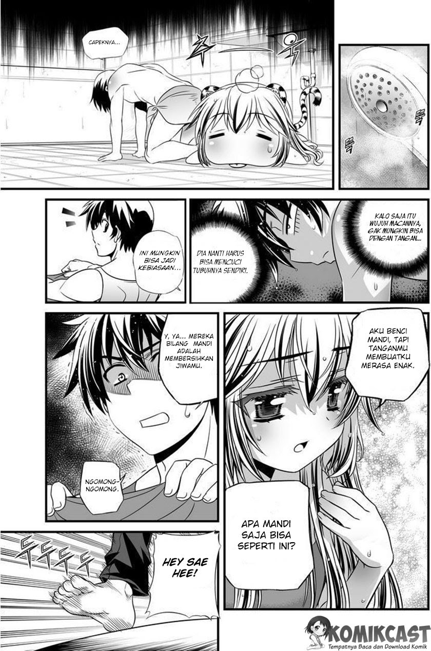 My Love Tiger Chap 7 - Next Chap 8