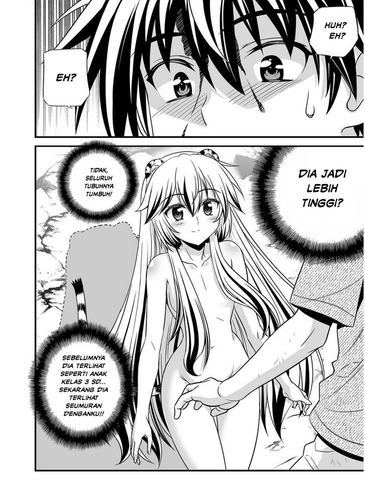 My Love Tiger Chap 27 - Next Chap 28