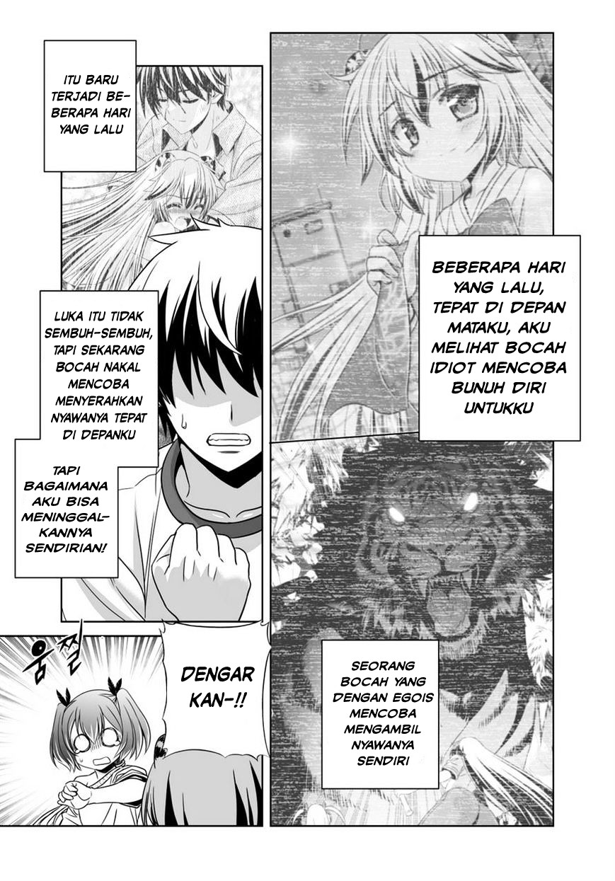 My Love Tiger Chap 34 - Next Chap 35