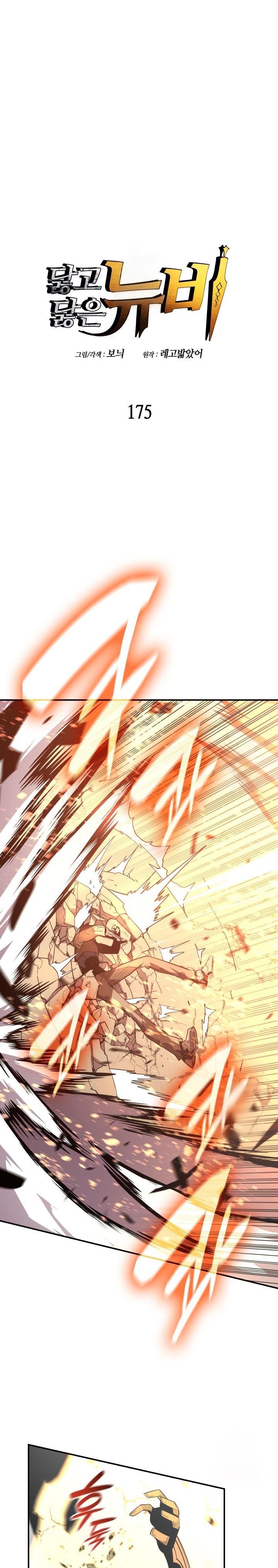 Worn and Torn Newbie Chap 175 - Next Chap 176