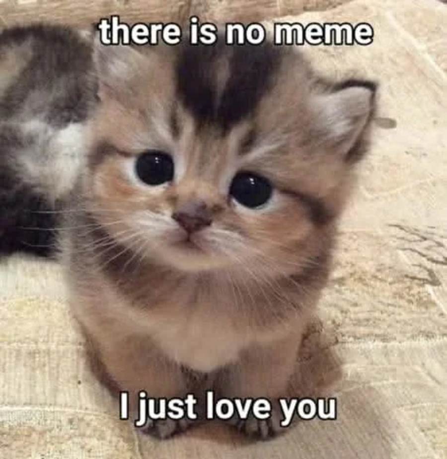 Shangri-La Frontier ~ Kusoge Hunter, Kamige ni Idoman to su~ Chap 177 - Next Chap 178