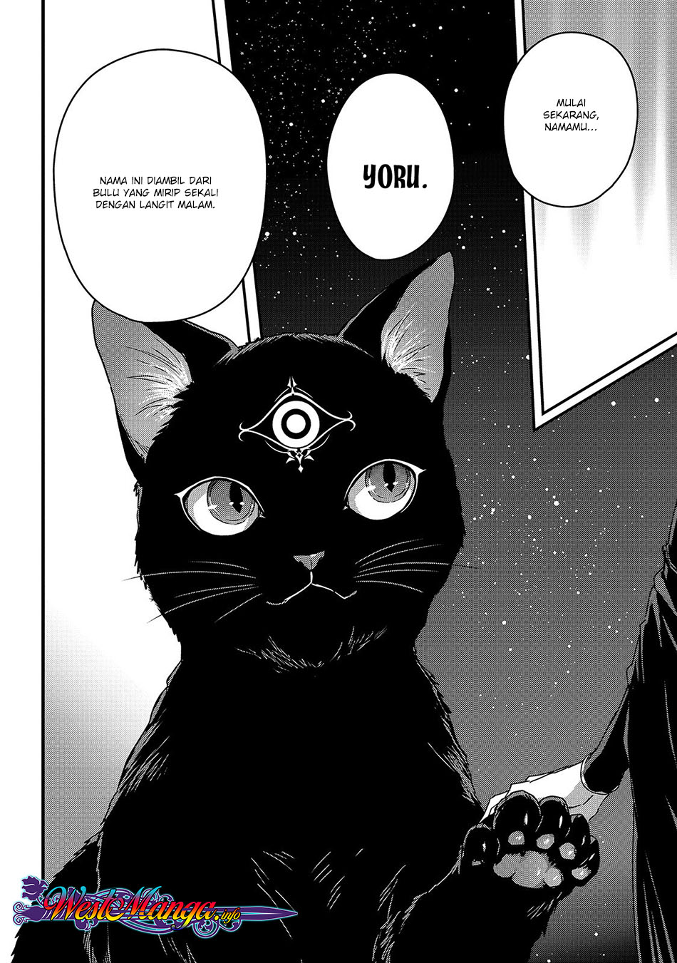 Assassin de Aru Ore no Sutetasu ga Yuusha Yori mo Akiraka ni Tsuyoi Nodaga Chap 11 - Next Chap 12