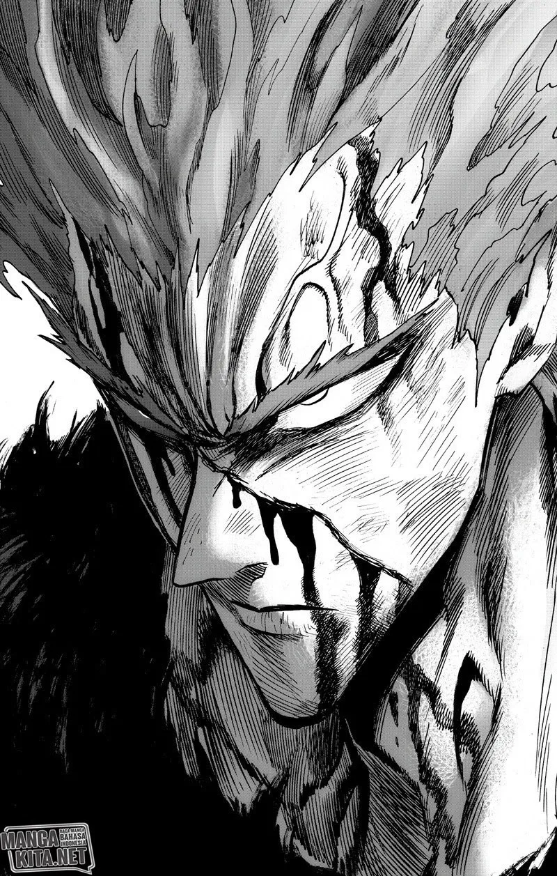 One Punch-Man Chap 137 - Next Chap 138