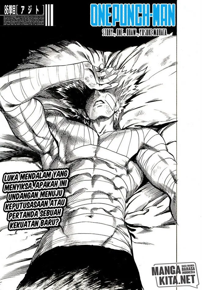 One Punch-Man Chap 134 - Next Chap 135