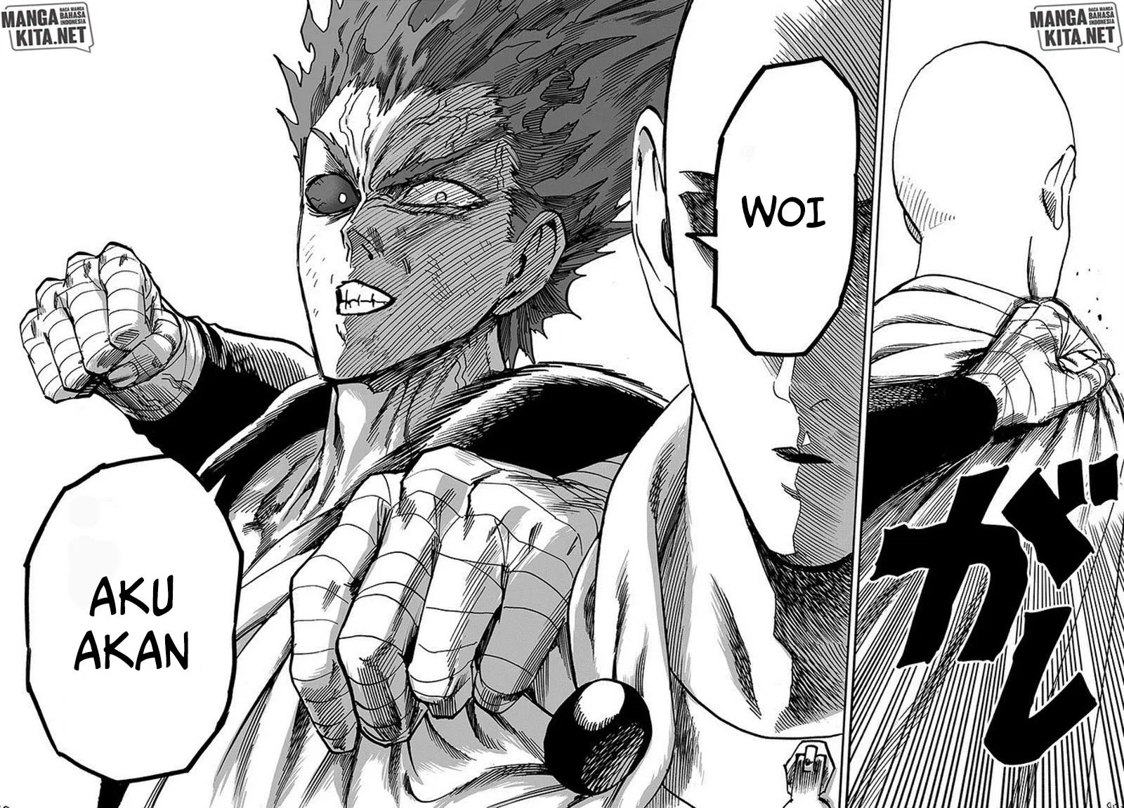 One Punch-Man Chap 135 - Next Chap 136