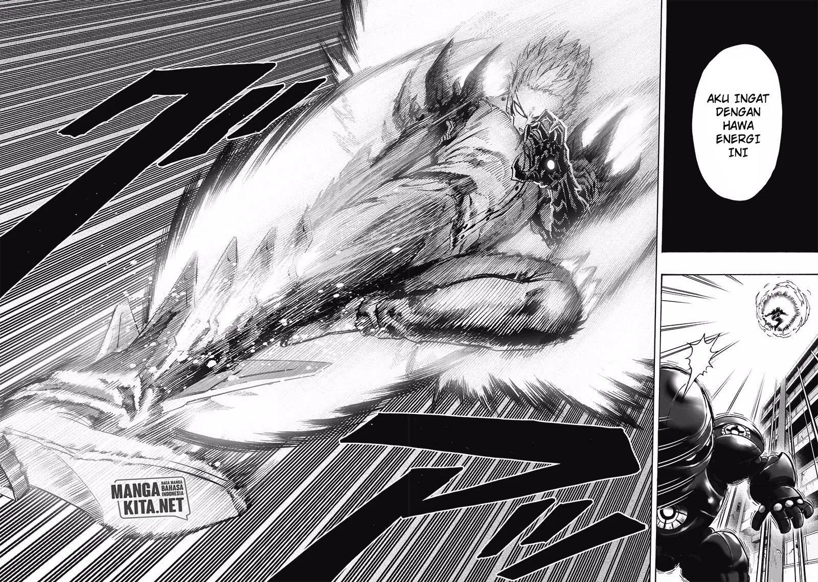 One Punch-Man Chap 166 - Next Chap 167