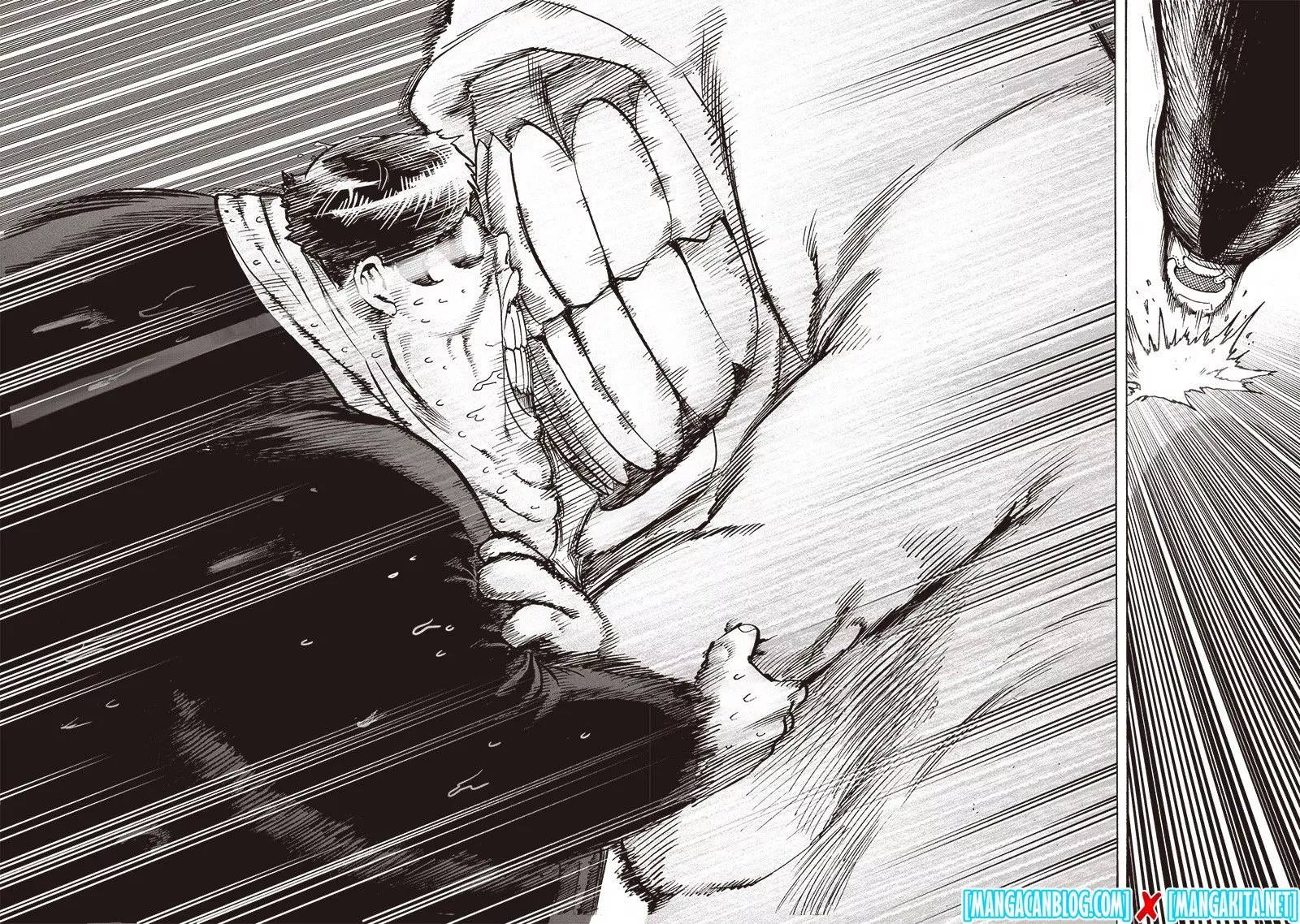 One Punch-Man Chap 161 - Next Chap 162