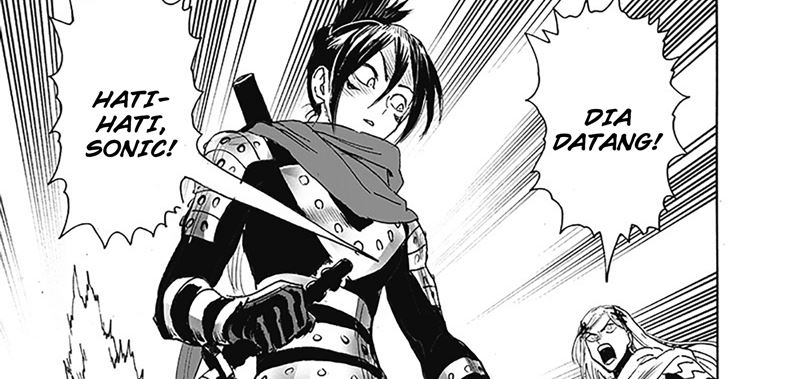 One Punch-Man Chap 252.1 - Next Chap 253.1