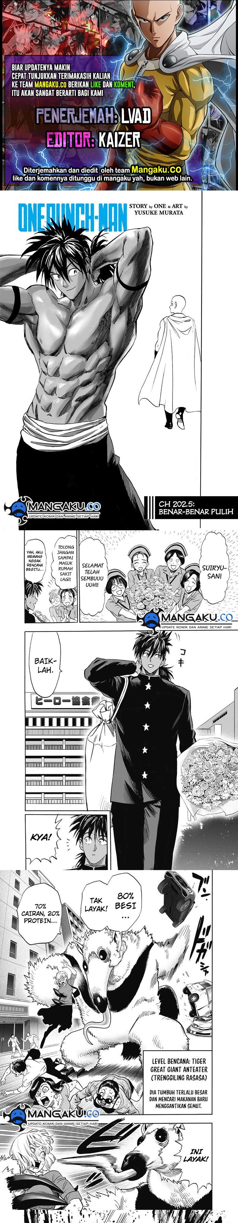 One Punch-Man Chap 252.11 - Next Chap 253.11